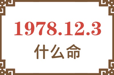 1978年12月3日出生是什么命？