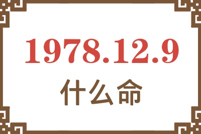 1978年12月9日出生是什么命? 1978年12月9日出生是什么命?