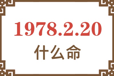 1978年2月20日出生是什么命? 1978年2月20日出生是什么命?