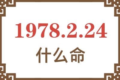 1978年2月24日出生是什么命？