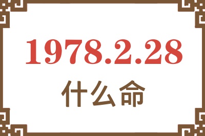 1978年2月28日出生是什么命？