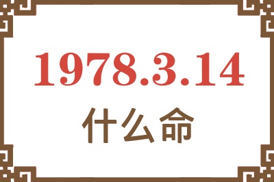 1978年3月14日出生是什么命? 1978年3月14日出生是什么命?