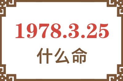 1978年3月25日出生是什么命？