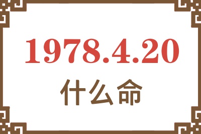 1978年4月20日出生是什么命? 1978年4月20日出生是什么命?