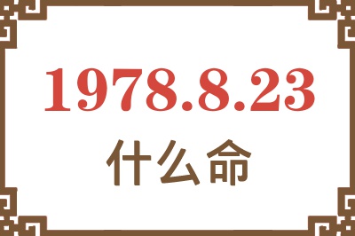 1978年8月23日出生是什么命？