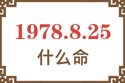 1978年8月25日出生是什么命？