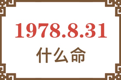 1978年8月31日出生是什么命？