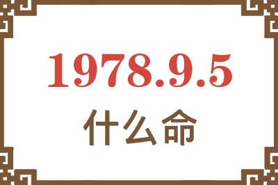 1978年9月5日出生是什么命? 1978年9月5日出生是什么命?