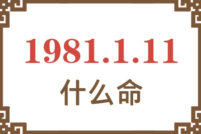 1981年1月11日出生是什么命？