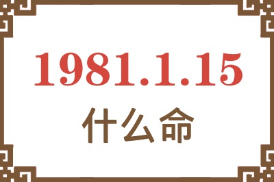 1981年1月15日出生是什么命？