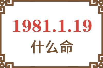 1981年1月19日出生是什么命？