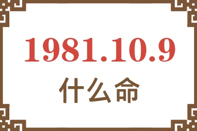 1981年10月9日出生是什么命？