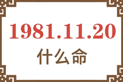 1981年11月20日出生是什么命？