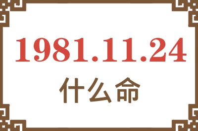 1981年11月24日出生是什么命？