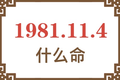 1981年11月4日出生是什么命？