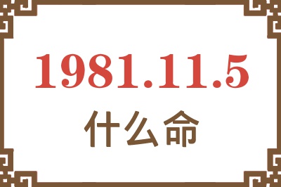 1981年11月5日出生是什么命？