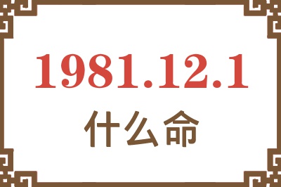 1981年12月1日出生是什么命？