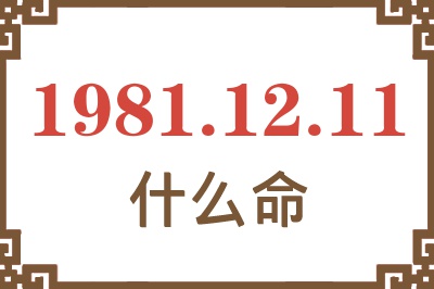 1981年12月11日出生是什么命？