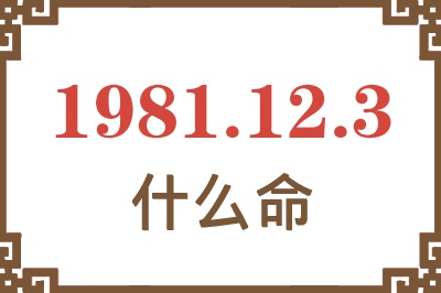 1981年12月3日出生是什么命？