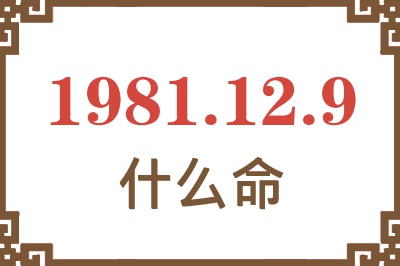 1981年12月9日出生是什么命？