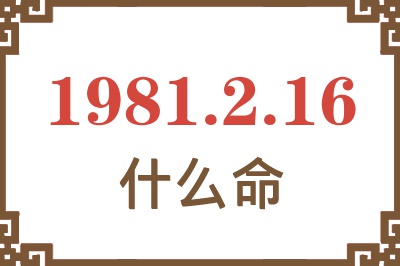 1981年2月16日出生是什么命？