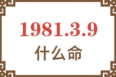 1981年3月9日出生是什么命？