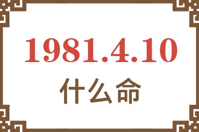 1981年4月10日出生是什么命？