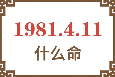 1981年4月11日出生是什么命？