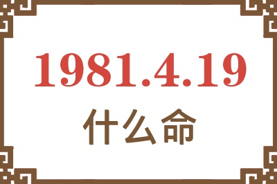 1981年4月19日出生是什么命？