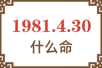 1981年4月30日出生是什么命？