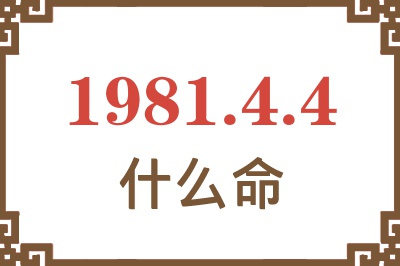 1981年4月4日出生是什么命？