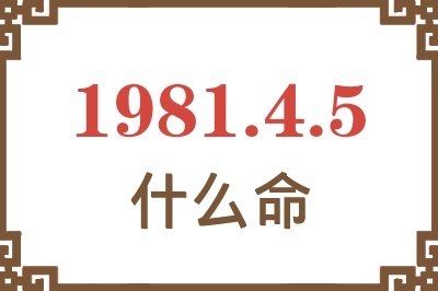 1981年4月5日出生是什么命？