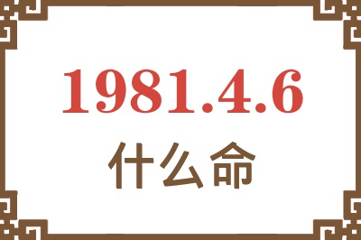 1981年4月6日出生是什么命？