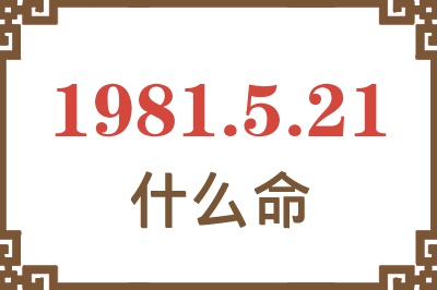 1981年5月21日出生是什么命？