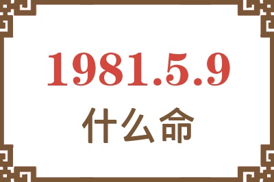 1981年5月9日出生是什么命？