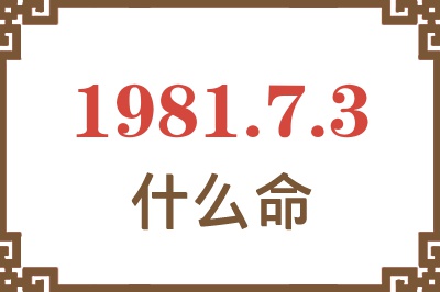 1981年7月3日出生是什么命？