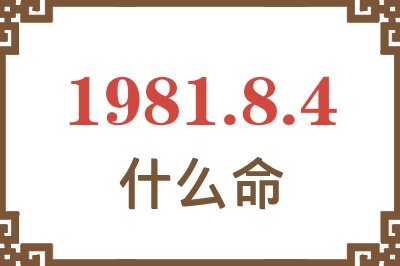 1981年8月4日出生是什么命？