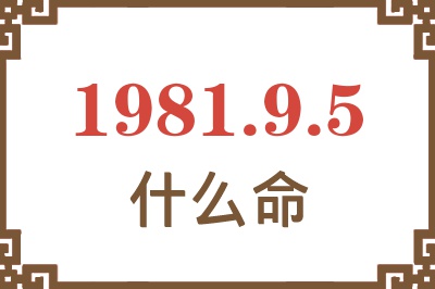 1981年9月5日出生是什么命？