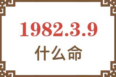 1982年3月9日出生是什么命？