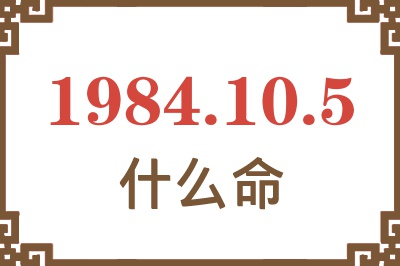 1984年10月5日出生是什么命? 1984年10月5日出生是什么命?