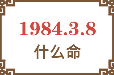 1984年3月8日出生是什么命？