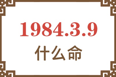 1984年3月9日出生是什么命？