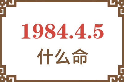 1984年4月5日出生是什么命? 1984年4月5日出生是什么命?