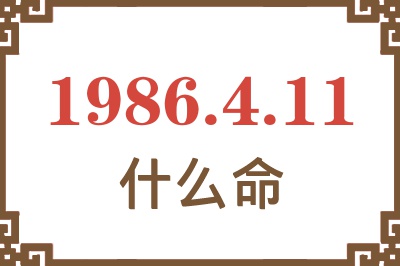 1986年4月11日出生是什么命? 1986年4月11日出生是什么命?