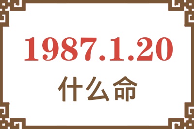 1987年1月20日出生是什么命？