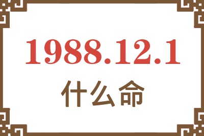 1988年12月1日出生是什么命？