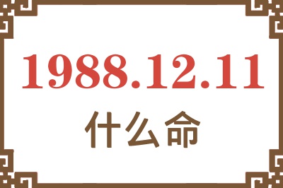 1988年12月11日出生是什么命？