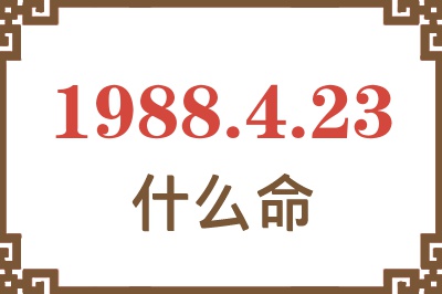 1988年4月23日出生是什么命？