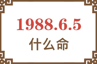 1988年6月5日出生是什么命？