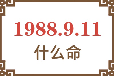 1988年9月11日出生是什么命？